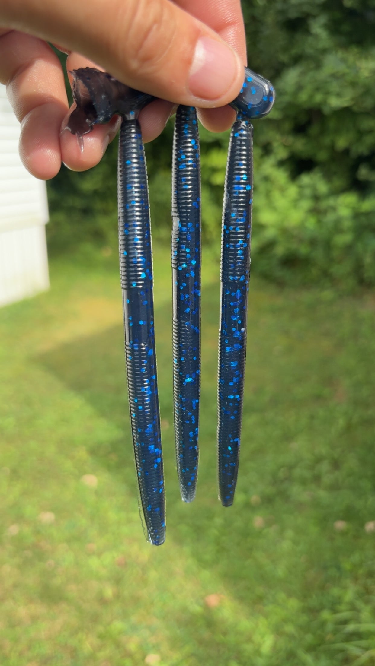5” Stick Baits