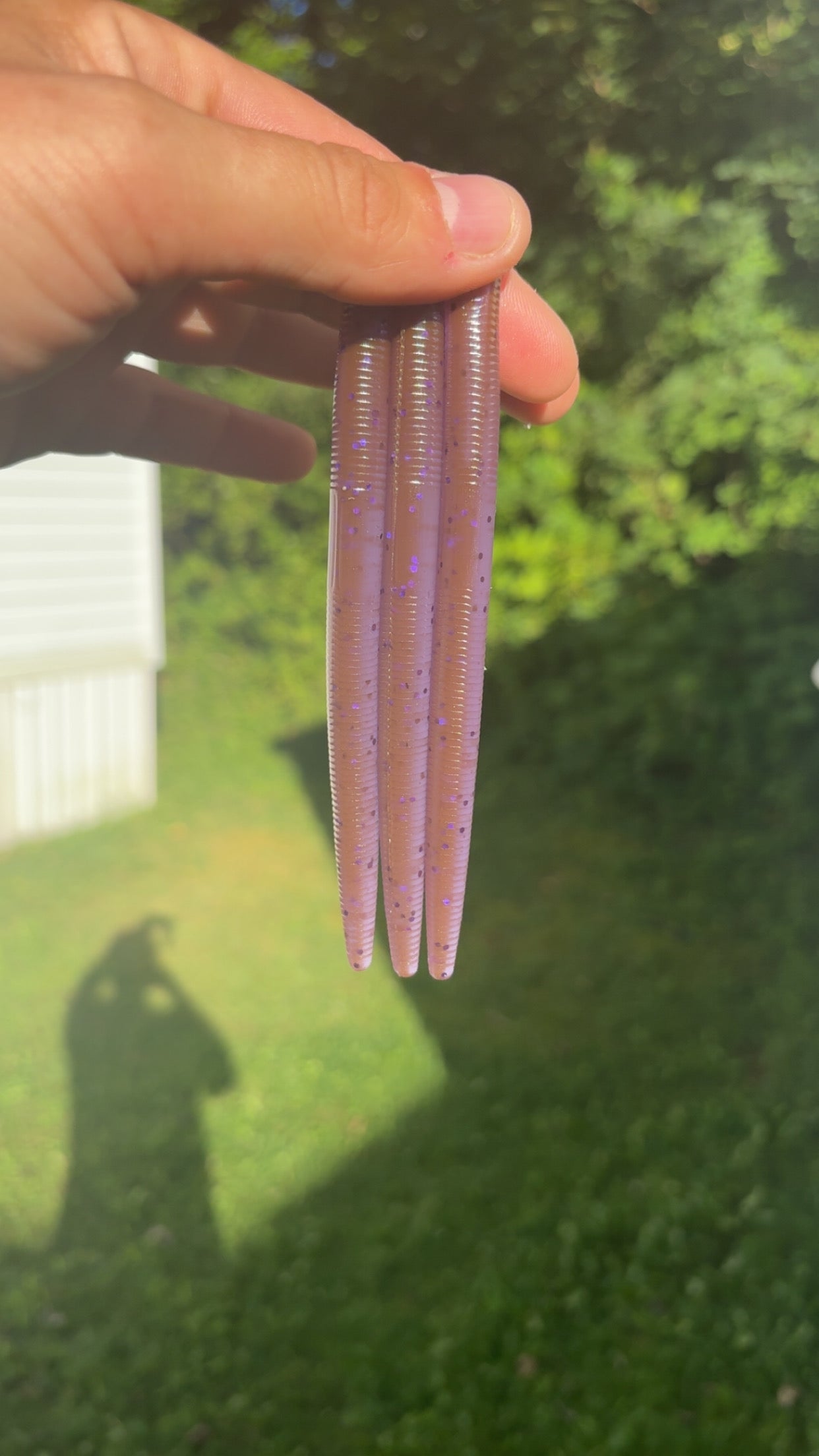 5” Stick Baits