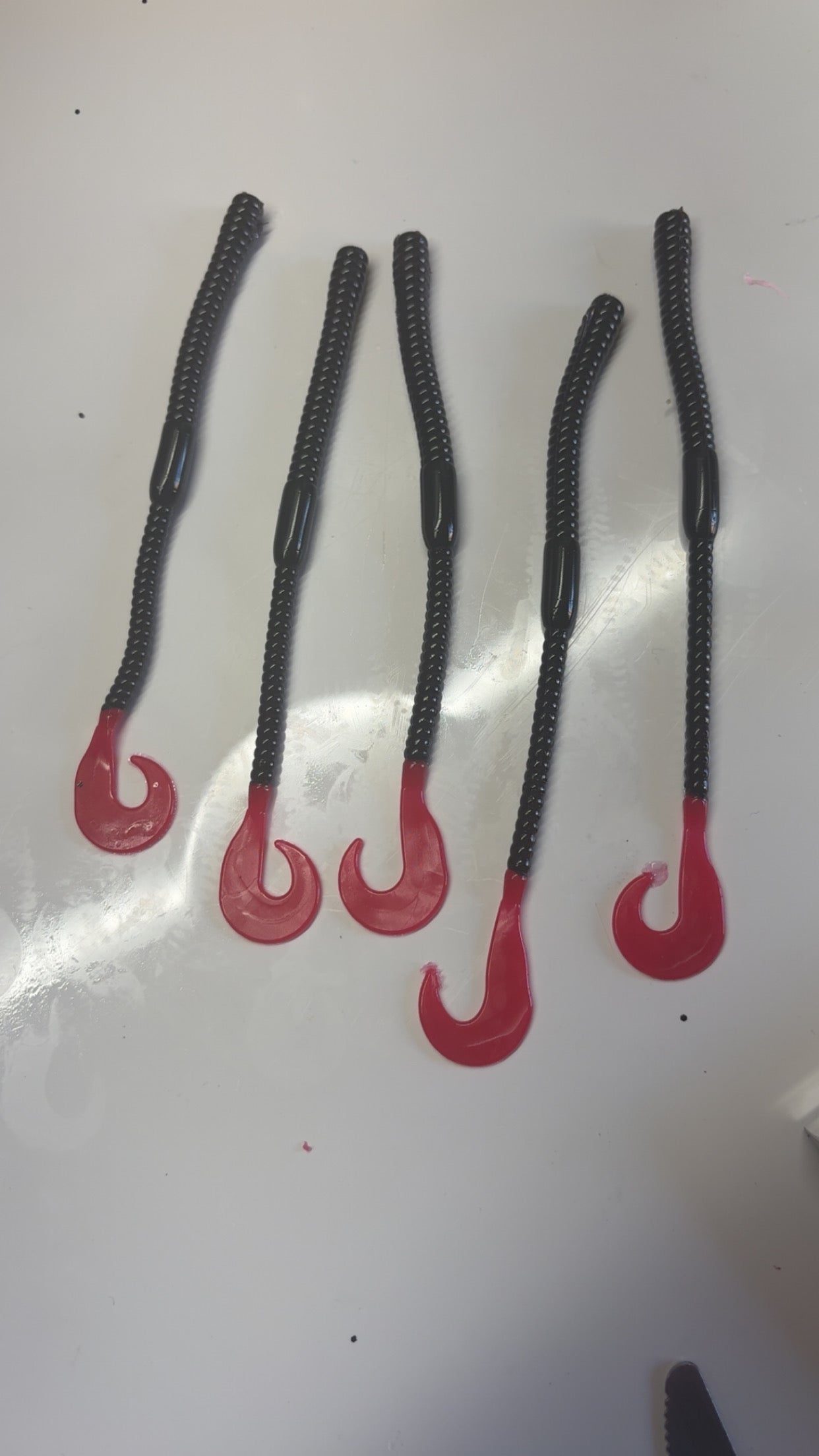 6” Curly Tail