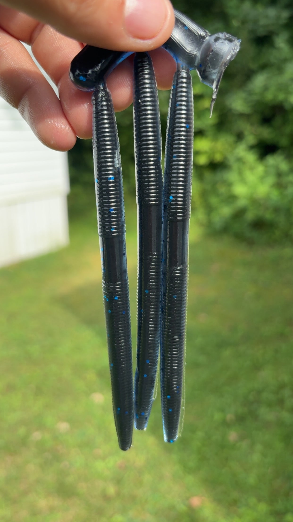 5” Stick Baits