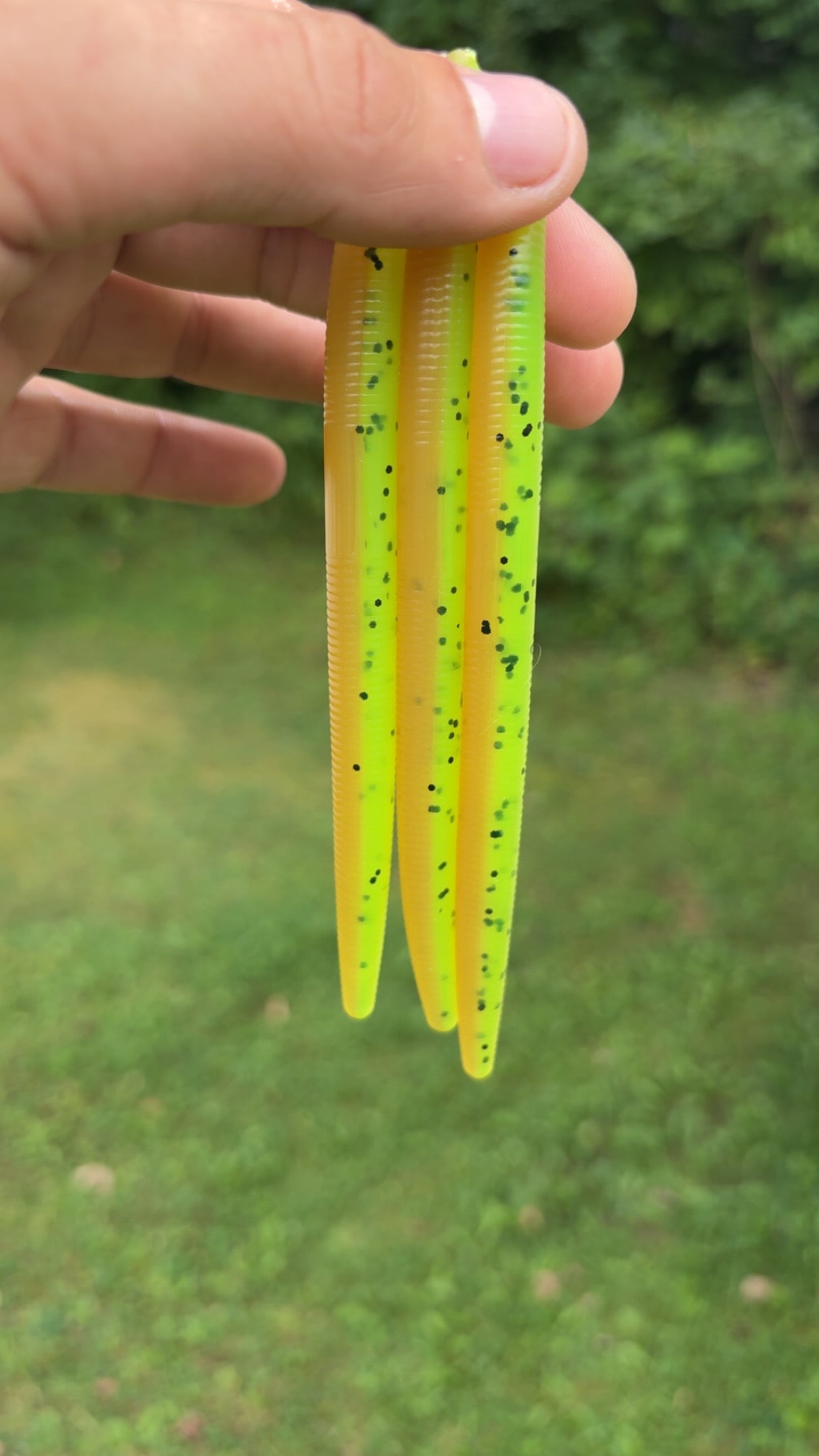 5” Stick Baits
